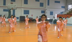 91式太极拳邯郸版直播,传承国粹，共赏太极之美